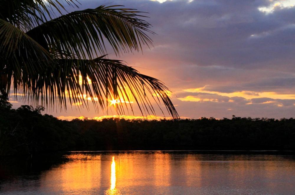 אברגליידס סיטי River Wilderness Waterfront Cabins מראה חיצוני תמונה